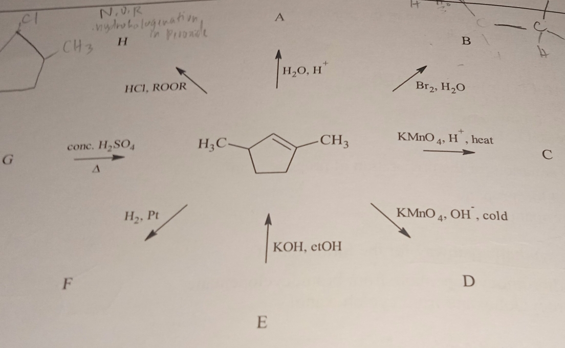 A
H
B
H_2O,H^+
HCl, ROOR Br_2,H_2O
COI C. H_2SO_4
KMnO_4,H^+ , heat
G
C^(KMnO_4) ,OH^-
H_2,Pt , cold
KOH,etOH
F
D
E