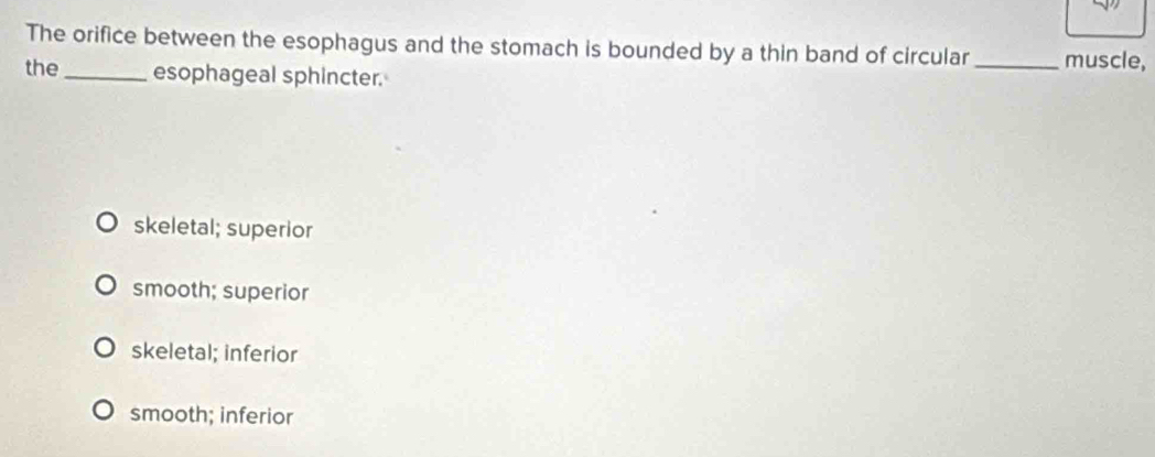 The orifice between the esophagus and the stomach is bounded by a thin band of circular_ muscle,
the_ esophageal sphincter.
skeletal; superior
smooth; superior
skeletal; inferior
smooth; inferior