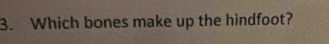 Which bones make up the hindfoot?
