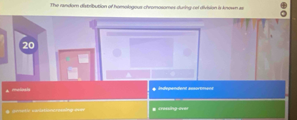 The random distribution of homologous chromosomes during cel division is known as
20
meiosis independent assortment
e etic variationcrossing-over crossing-over