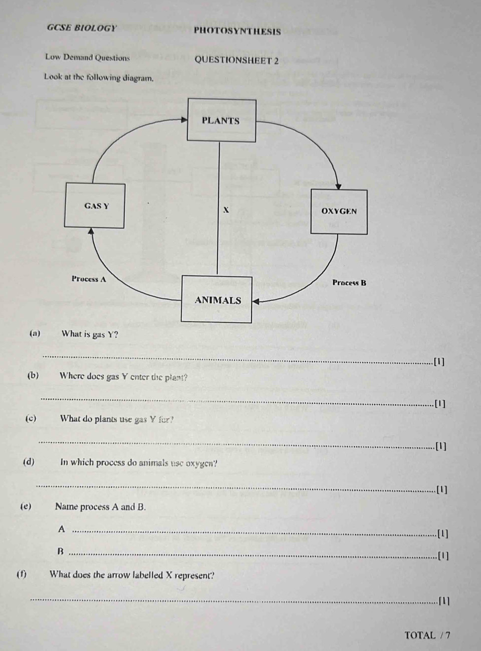 GCSE BIOLOGY PHOTOSYNTHESIS 
Low Demand Questions QUESTIONSHEET 2 
Look at the following diagram. 
(a) What is gas Y? 
_ 
[1] 
(b) Where does gas Y enter the plant? 
_ 
[1] 
(c) What do plants use gas Y fer? 
_ 
.[1] 
(d) In which process do animals use oxygen? 
_ 
[1] 
(e) Name process A and B. 
_A 
[1] 
_B 
[1] 
(f) What does the arrow labelled X represent? 
_[1] 
TOTAL / 7