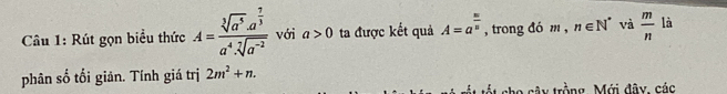 Rút gọn biểu thức A=frac sqrt[3](a^5)· a^(frac 7)3a^4· sqrt[7](a^(-2)) với a>0 ta được kết quả A=a^(frac m)n , trong đó m , n∈ N^* và  m/n  là 
phân số tối giān. Tính giá trị 2m^2+n. 
o cây trồng. Mới đây, các