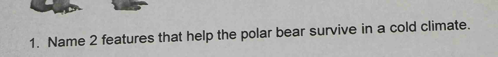 Name 2 features that help the polar bear survive in a cold climate.