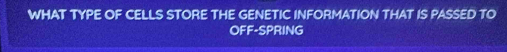 WHAT TYPE OF CELLS STORE THE GENETIC INFORMATION THAT IS PASSED TO 
OFF-SPRING