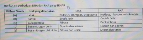 Berikut ini perbedaan DNA dan RNA yang BENAR