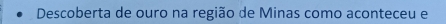 Descoberta de ouro na região de Minas como aconteceu e