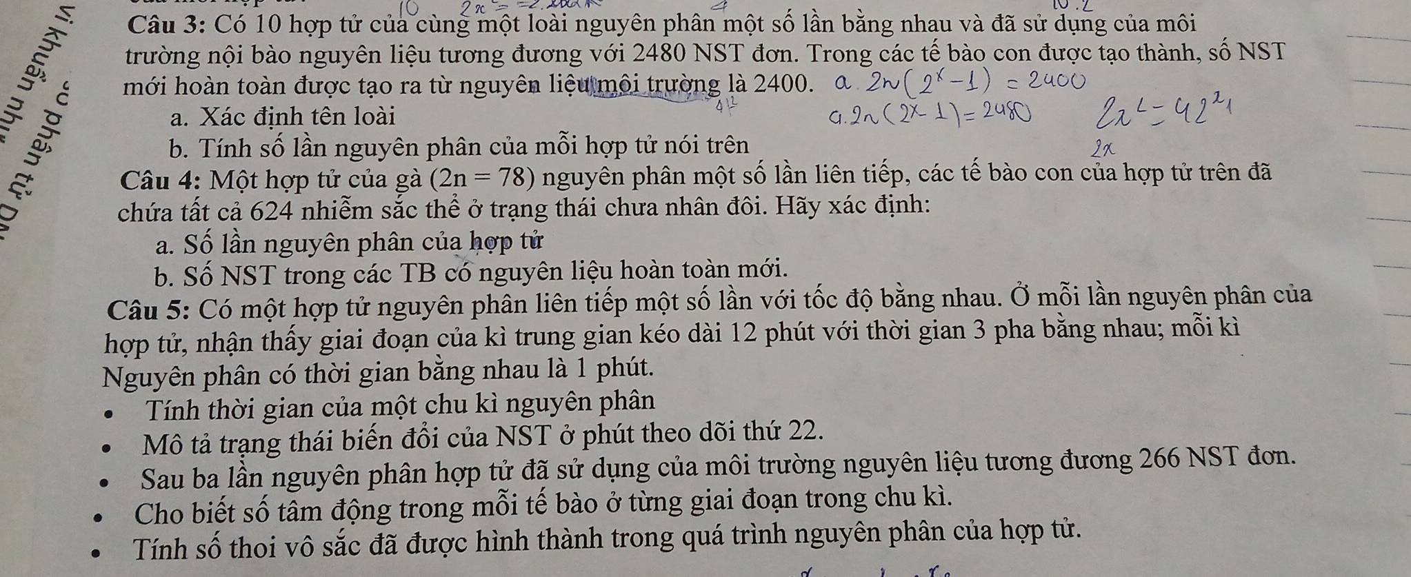 Có 10 hợp tử của cùng một loài nguyên phân một số lần bằng nhau và đã sử dụng của môi 
trường nội bào nguyên liệu tương đương với 2480 NST đơn. Trong các tế bào con được tạo thành, số NST 

mới hoàn toàn được tạo ra từ nguyên liệu môi trường là 2400. 
a. Xác định tên loài 
b. Tính số lần nguyên phân của mỗi hợp tử nói trên 
Câu 4: Một hợp tử của gà (2n=78) nguyên phân một số lần liên tiếp, các tế bào con của hợp tử trên đã 
chứa tất cả 624 nhiễm sắc thể ở trạng thái chưa nhân đôi. Hãy xác định: 
a. Số lần nguyên phân của hợp tử 
b. Số NST trong các TB có nguyên liệu hoàn toàn mới. 
Câu 5: Có một hợp tử nguyên phân liên tiếp một số lần với tốc độ bằng nhau. Ở mỗi lần nguyên phân của 
hợp tử, nhận thấy giai đoạn của kì trung gian kéo dài 12 phút với thời gian 3 pha bằng nhau; mỗi kì 
Nguyên phân có thời gian bằng nhau là 1 phút. 
Tính thời gian của một chu kì nguyên phân 
Mô tả trạng thái biến đổi của NST ở phút theo dõi thứ 22. 
Sau ba lần nguyên phân hợp tử đã sử dụng của môi trường nguyên liệu tương đương 266 NST đơn. 
Cho biết số tâm động trong mỗi tế bào ở từng giai đoạn trong chu kì. 
Tính số thoi vô sắc đã được hình thành trong quá trình nguyên phân của hợp tử.