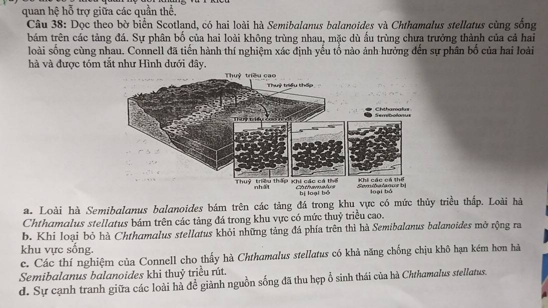 quan hệ hỗ trợ giữa các quần thể.
Câu 38: Dọc theo bờ biển Scotland, có hai loài hà Semibalanus balanoides và Chthamalus stellatus cùng sống
bám trên các tảng đá. Sự phân bố của hai loài không trùng nhau, mặc dù ấu trùng chưa trưởng thành của cả hai
loài sống cùng nhau. Connell đã tiến hành thí nghiệm xác định yếu tố nào ảnh hưởng đến sự phân bố của hai loài
hà và được tóm tắt như Hình dưới đây.
a. Loài hà Semibalanus balanoides bám trên các tảng đá trong khu vực có mức thủy triều thấp. Loài hà
Chthamalus stellatus bám trên các tảng đá trong khu vực có mức thuỷ triều cao.
b. Khi loại bỏ hà Chthamalus stellatus khỏi những tảng đá phía trên thì hà Semibalanus balanoides mở rộng ra
khu vực sống.
c. Các thí nghiệm của Connell cho thấy hà Chthamalus stellatus có khả năng chống chịu khô hạn kém hơn hà
Semibalanus balanoides khi thuỷ triều rút.
d. Sự cạnh tranh giữa các loài hà để giành nguồn sống đã thu hẹp ổ sinh thái của hà Chthamalus stellatus.