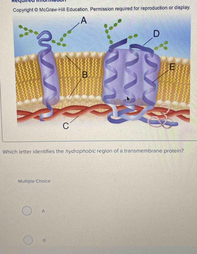 Copyright © McGraw-Hill Education. Permission required for reproduction or display.
Which letter identifies the hydrophobic region of a transmembrane protein?
Multiple Choice
A
B