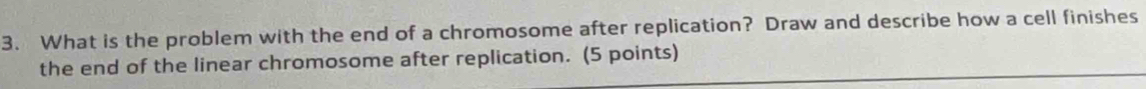 What is the problem with the end of a chromosome after replication? Draw and describe how a cell finishes 
the end of the linear chromosome after replication. (5 points)