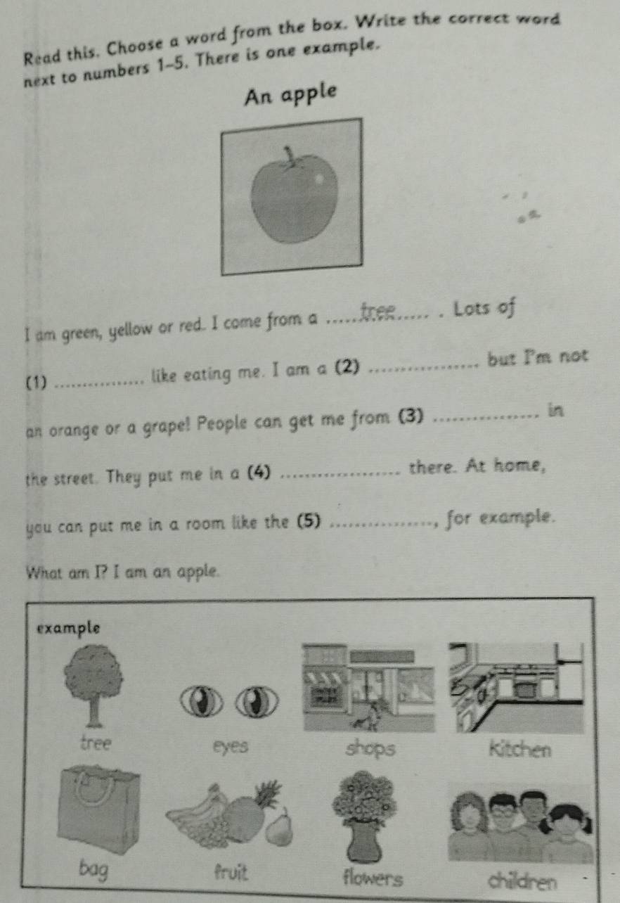 Read this. Choose a word from the box. Write the correct word 
next to numbers 1-5. There is one example. 
An apple 
I am green, yellow or red. I come from a .......... . Lots of 
(1) _like eating me. I am a (2) _but Im not 
an orange or a grape! People can get me from (3) _in 
the street. They put me in a (4) _there. At home, 
you can put me in a room like the (5) _, for example. 
What am I? I am an apple.