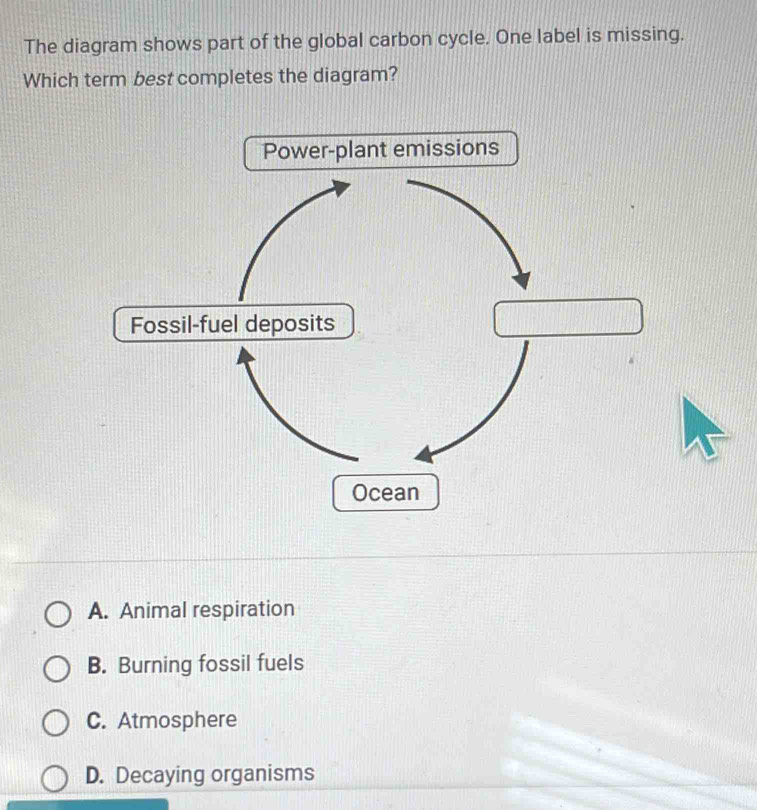 Solved: The diagram shows part of the global carbon cycle. One label is ...
