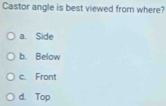 Castor angle is best viewed from where?
a. Side
b. Below
c. Front
d. Top