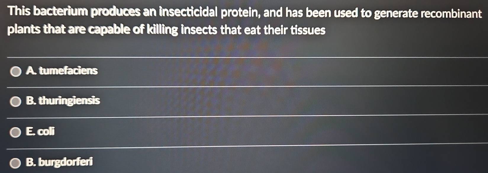 This bacterium produces an insecticidal protein, and has been used to generate recombinant
plants that are capable of killing insects that eat their tissues
A. tumefaciens
B. thuringiensis
E. coli
B. burgdorferi