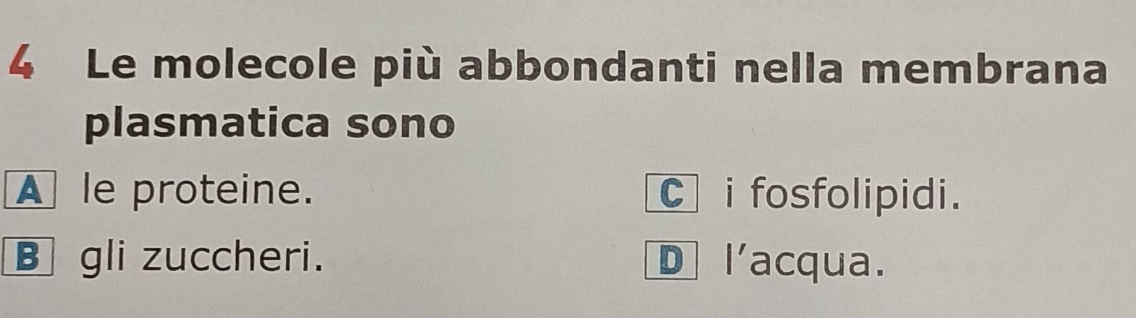 Le molecole più abbondanti nella membrana
plasmatica sono
A le proteine. C i fosfolipidi.
B gli zuccheri. D |' acqua.