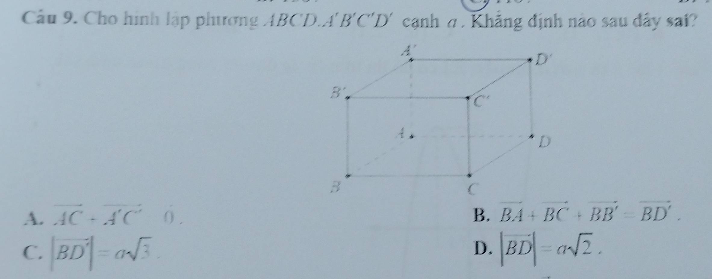 Cho hình lập phương ABCD. A'B'C'D' cạnh a . Khẳng định nào sau dây sai?
A. vector AC+vector A'C' () .
B. vector BA+vector BC+vector BB'=vector BD'.
D.
C. |vector BD'|=asqrt(3). |vector BD|=asqrt(2).