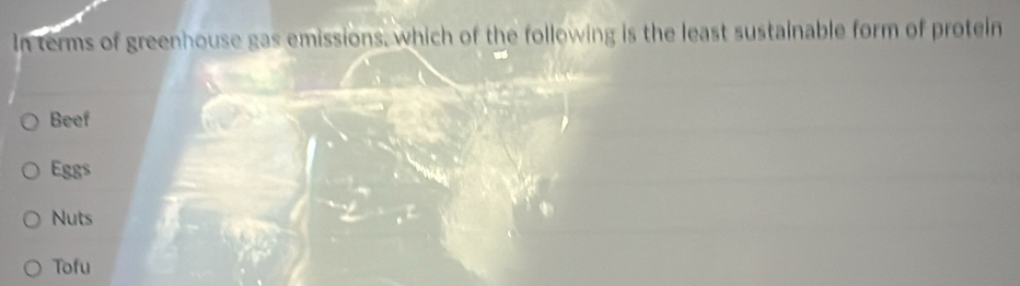 In terms of greenhouse gas emissions, which of the following is the least sustainable form of protein
Beef
Eggs
Nuts
Tofu