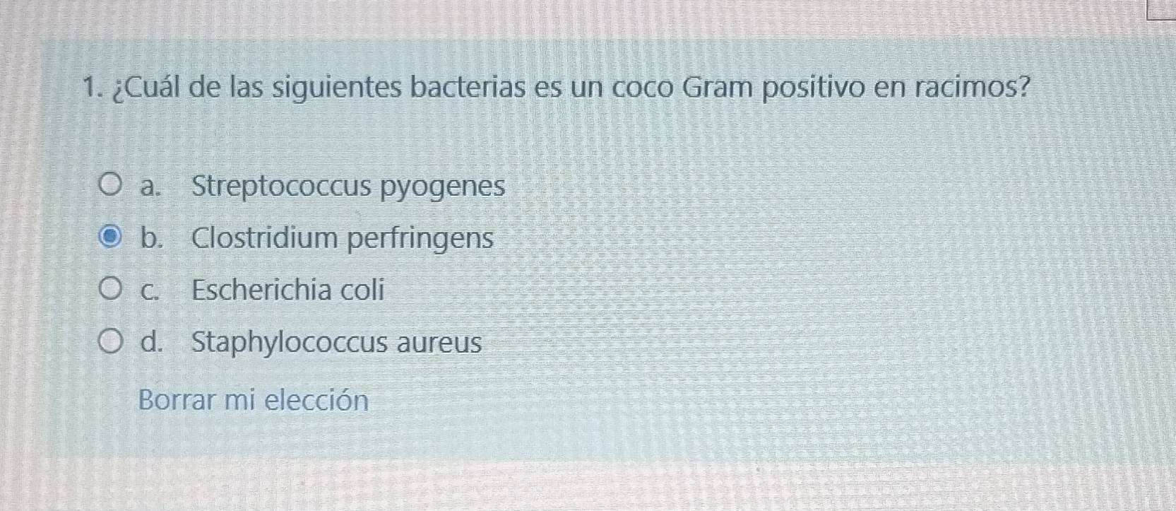 ¿Cuál de las siguientes bacterias es un coco Gram positivo en racimos?
a. Streptococcus pyogenes
b. Clostridium perfringens
c. Escherichia coli
d. Staphylococcus aureus
Borrar mi elección