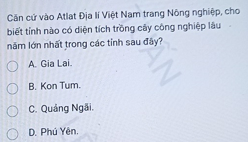 Căn cứ vào Atlat Địa lí Việt Nam trang Nông nghiệp, cho
biết tỉnh nào có diện tích trồng cây công nghiệp lâu
năm lớn nhất trong các tỉnh sau đây?
A. Gia Lai.
B. Kon Tum.
C. Quảng Ngãi.
D. Phú Yên.