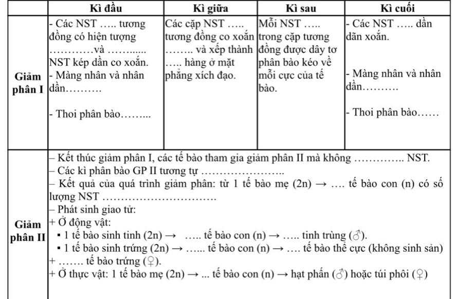 Kì đầu Kì giữa Kì sau Kì cuối 
Các kì phân bào GP II tương tự ._ 
_ 
- Kết quả của quá trình giảm phân: từ 1 tế bào mẹ (2n) → ... tế bào con (n) có số 
lượng NST_ 
, . . . 
- Phát sinh giao tử: 
Giảm + Ở động vật: 
phân II 1 tế bào sinh tinh (2n) → … tế bào con (n) → …. tinh trùng (♂). 
1 tế bào sinh trứng (2n) → ….. tế bào con (n) → … tế bào thể cực (không sinh sản) 
+ _ 
tế bào trứng (♀). 
+ Ở thực vật: 1 tế bào mẹ (2n) → ... tế bào con (n) → hạt phần (♂) hoặc túi phôi (♀)