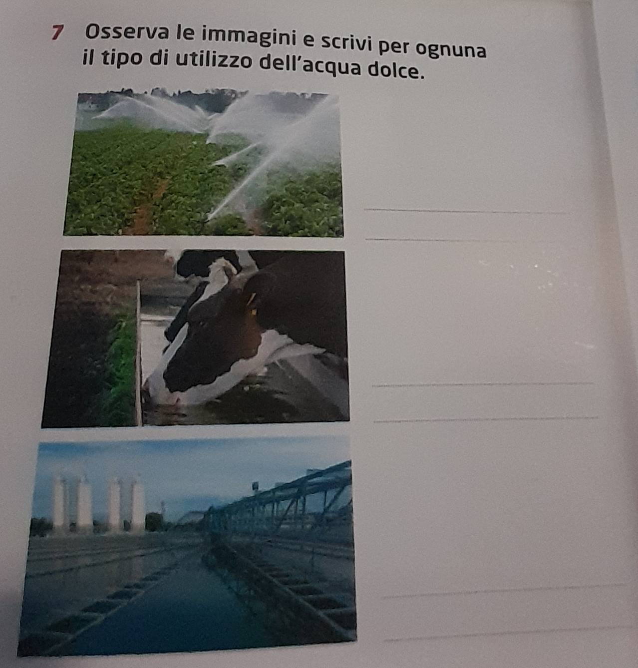 Osserva le immagini e scrivi per ognuna 
il tipo di utilizzo dell’acqua dolce. 
_ 
_ 
_ 
_ 
_ 
_