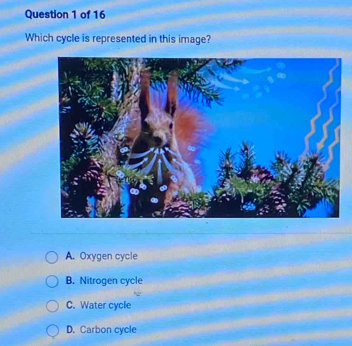 Which cycle is represented in this image?
A. Oxygen cycle
B. Nitrogen cycle
C. Water cycle
D. Carbon cycle