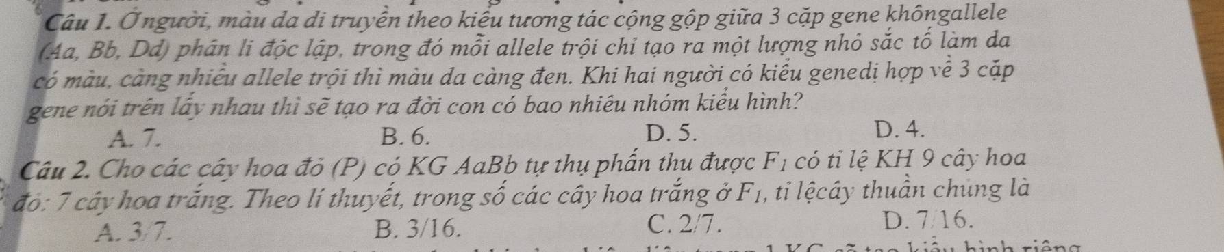 Ở người, màu da di truyền theo kiểu tương tác cộng gộp giữa 3 cặp gene khôngallele
(Aa, Bb, Dd) phân li độc lập, trong đó mỗi allele trội chi tạo ra một lượng nhỏ sắc tố làm da
có màu, càng nhiều allele trội thì màu da càng đen. Khi hai người có kiểu genedị hợp về 3 cặp
gene nói trên lấy nhau thì sẽ tạo ra đời con cổ bao nhiêu nhóm kiểu hình?
A. 7. B. 6. D. 5.
D. 4.
Câu 2. Cho các cây hoa đỏ (P) có KG AaBb tự thụ phẩn thu được F1 có tỉ lệ KH 9 cây hoa
đo: 7 cây hoa trắng. Theo lí thuyết, trong số các cây hoa trắng ở F1, ti lệcây thuần chúng là
A. 3/7. B. 3/16. C. 2/7. D. 7/16.