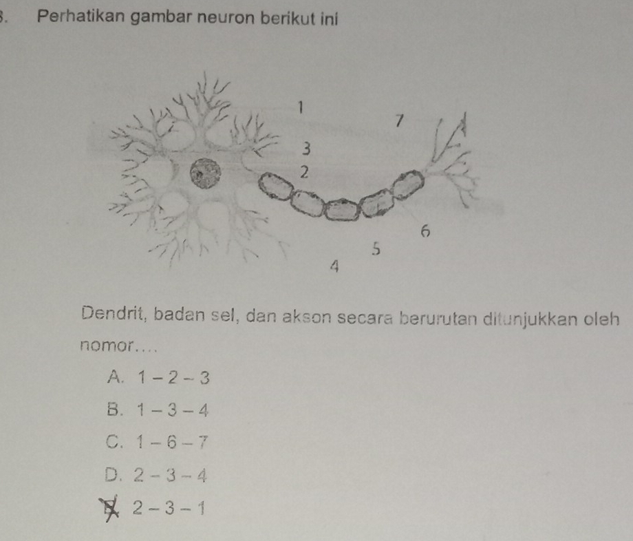 Perhatikan gambar neuron berikut ini
Dendrit, badan sel, dan akson secara berurutan ditunjukkan oleh
nomor....
A. 1-2-3
B. 1-3-4
C. 1-6-7
D. 2-3-4
2-3-1