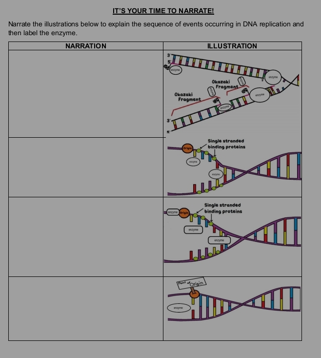 IT'S YOUR TIME TO NARRATE! 
Narrate the illustrations below to explain the sequence of events occurring in DNA replication and 
the