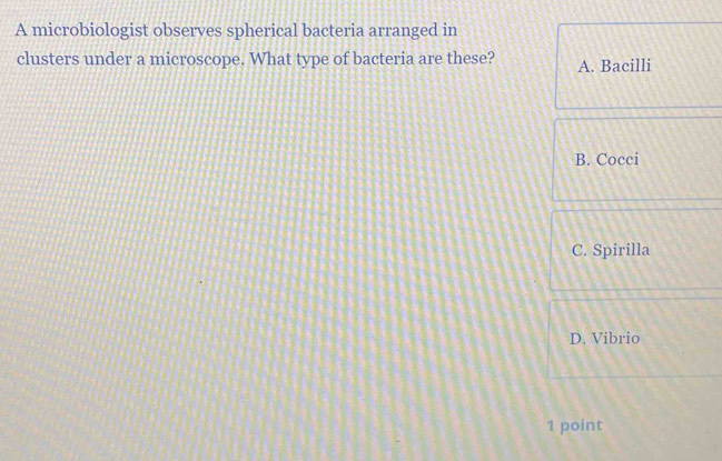 A microbiologist observes spherical bacteria arranged in
clusters under a microscope. What type of bacteria are these? A. Bacilli
B. Cocci
C. Spirilla
D. Vibrio
1 point