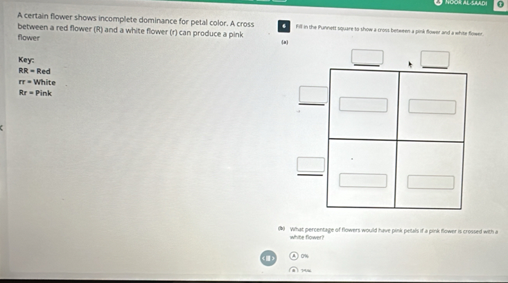 NOOR AL-SAADI
A certain flower shows incomplete dominance for petal color. A cross 6 Fill in the Punnett square to show a cross between a pink flower and a white flower.
between a red flower (R) and a white flower (r) can produce a pink
flower (a)
_
Key:
RR= Red 
_
rr= White
Rr= Pink 
() What percentage of flowers would have pink petals if a pink flower is crossed with a
white flower?
0%
8  75