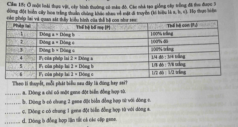 Ở một loài thực vật, cây bình thường có màu đỏ. Các nhà tạo giống cây trồng đã thu được 3
đòng đột biển cây hoa trắng thuần chủng khác nhau về mặt di truyền (kí hiệu là a, b, c). Họ thực hiện
các phép lai và quan 
Theo lí thuyết, mỗi phát biểu sau đây là đúng hay sai?
_a. Dòng a chỉ có một gene đột biến đồng hợp tử.
_b. Dòng b có chung 2 gene đột biến đồng hợp tử với dòng c.
_c. Dòng c có chung 1 gene đột biến đồng hợp tử với dòng a.
_d. Dòng b đồng hợp lặn tất cả các cặp gene.