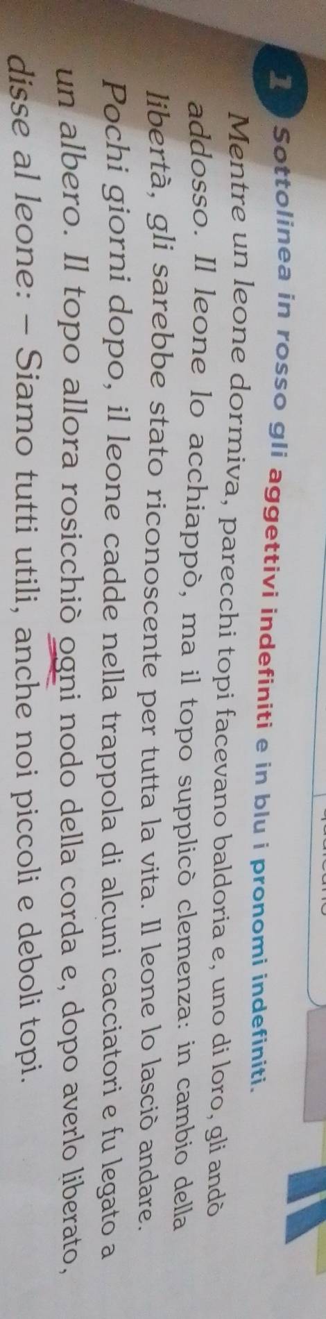 Sottolinea in rosso gli aggettivi indefiniti e in blu i pronomi indefiniti. 
Mentre un leone dormiva, parecchi topi facevano baldoria e, uno di loro, gli andò 
addosso. Il leone lo acchiappò, ma il topo supplicò clemenza: in cambio della 
libertà, gli sarebbe stato riconoscente per tutta la vita. Il leone lo lasció andare. 
Pochi giorni dopo, il leone cadde nella trappola di alcuni cacciatori e fu legato a 
un albero. Il topo allora rosicchiò ogni nodo della corda e, dopo averlo liberato, 
disse al leone: - Siamo tutti utili, anche noi piccoli e deboli topi.