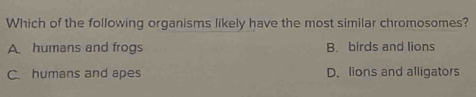 Which of the following organisms likely have the most similar chromosomes?
A humans and frogs B. birds and lions
C. humans and apes D. lions and alligators