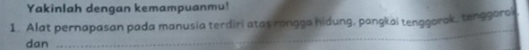 Yakinlah dengan kemampuanmu! 
1. Alat pernapasan pada manusia terdiri atas rongga hidung, pangkai tenggorok, tenggorok 
dan 
_ 
_