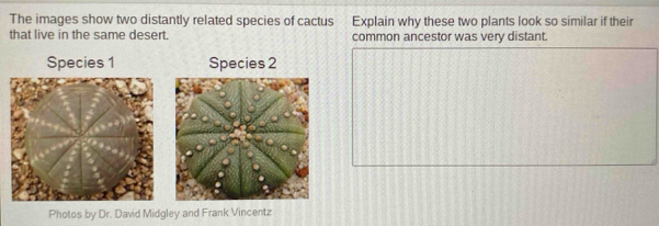 Solved: The images show two distantly related species of cactus Explain ...