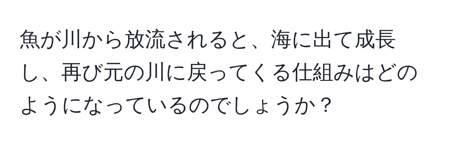 魚が川から放流されると、海に出て成長し、再び元の川に戻ってくる仕組みはどのようになっているのでしょうか？