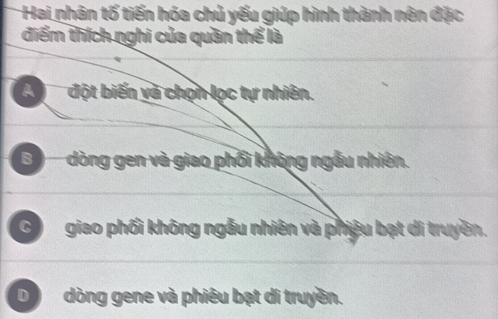 Hai nhân tố tiến hóa chủ yếu giúp hình thành nên đặc
điểm thích nghi của quân thể là
A đột biến và chọn lọc tự nhiên.
B dòng gen và giao phối không ngẫu nhiên.
C giao phối không ngẫu nhiên và phiêu bạt di truyền.
D dòng gene và phiêu bạt di truyền.