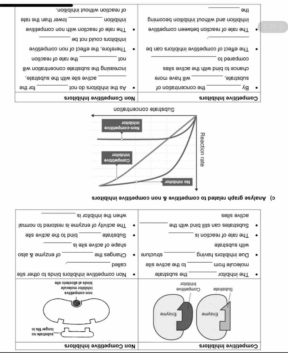 Competitive Inhibitors Non Competitive Inhibitors 
substrate no 
longer fits in 
non-competitive 
inhibitor molecule 
binds at allosteric site 
The inhibitor_ the substrate Non competitive inhibitors binds to other site 
molecule from _to the active site called_ 
Due inhibitors having _structure Changes the _of enzyme & also 
with substrate shape of active site is_ 
The rate of reaction is _Substrate_ bind to the active site 
Substrates can still bind with the_ The activity of enzyme is restored to normal 
active sites when the inhibitor is 
_ 
c) Analyse graph related to competitive & non competitive inhibitors 
Competitive Inhibitors Non Competitive Inhibitors 
By _the concentration of As the inhibitors do not_ for the 
_ 
_ 
substrate, will have more active site with the substrate, 
chance to bind with the active sites increasing the substrate concentration will 
compared to_ not_ the rate of reaction 
The effect of competitive inhibitors can be Therefore, the effect of non competitive 
_. 
_ 
inhibitors could not be 
The rate of reaction between competitive The rate of reaction with non competitive 
inhibition and without inhibition becoming inhibition_ lower than the rate 
_ 
the of reaction without inhibition.