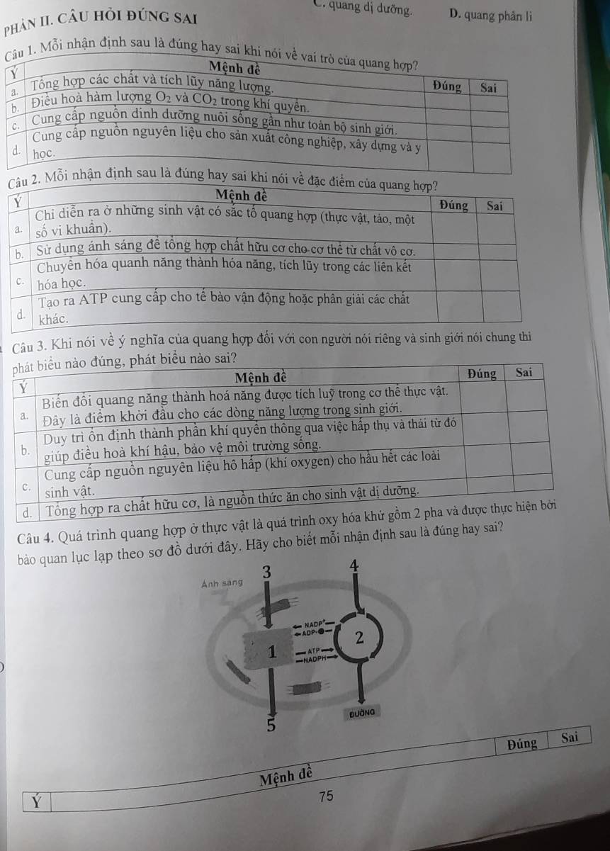 C. quang dị dưỡng. D. quang phân li
pPhản II. câu hỏi đứng sai
1. Mỗi nhận định sau là đúng hay sai
i n
Câu 3. Khi nói về ý nghĩa của quang hợp đối với con người nói riêng và sinh giới nói chung thi
Câu 4. Quá trình quang hợp ở thực vậ
bào quan lục lạp theo sơ đồ dưới đây. Hãy cho biết mỗi nhận định sau là đúng hay sai?
Đúng Sai
Mệnh đề
Y
75