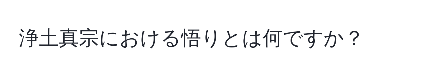 浄土真宗における悟りとは何ですか？