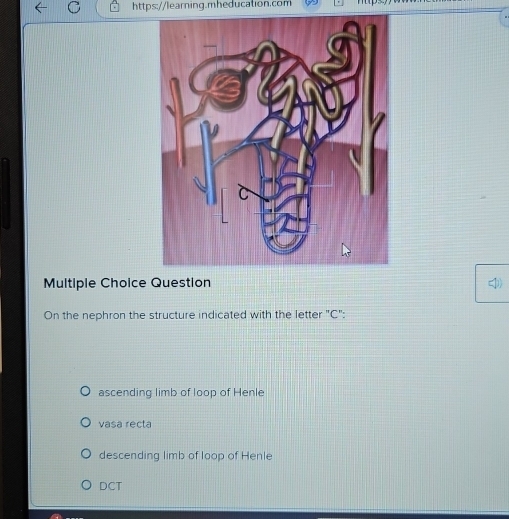 Question
On the nephron the structure indicated with the letter "C":
ascending limb of loop of Henle
vasa recta
descending limb of loop of Henle
DCT