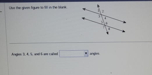 Use the given figure to fill in the blank. 
Angles 3, 4, 5, and 6 are called □ angles.