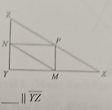 parallel overline YZ