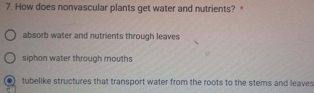 How does nonvascular plants get water and nutrients? *
absorb water and nutrients through leaves
siphon water through mouths
tubelike structures that transport water from the roots to the stems and leaves