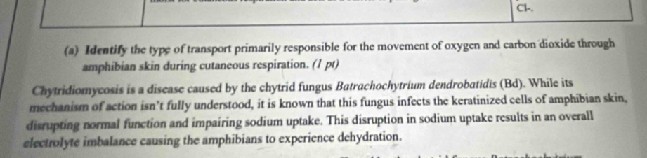 Cl-. 
(a) Identify the type of transport primarily responsible for the movement of oxygen and carbon dioxide through 
amphibian skin during cutaneous respiration. (1 pt) 
Chytridiomycosis is a disease caused by the chytrid fungus Batrachochytrium dendrobatidis (Bd). While its 
mechanism of action isn’t fully understood, it is known that this fungus infects the keratinized cells of amphibian skin, 
disrupting normal function and impairing sodium uptake. This disruption in sodium uptake results in an overall 
electrolyte imbalance causing the amphibians to experience dehydration.