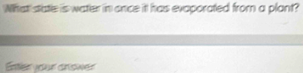 What statle is water in once it has evaporated from a plant? 
Entler your cnower