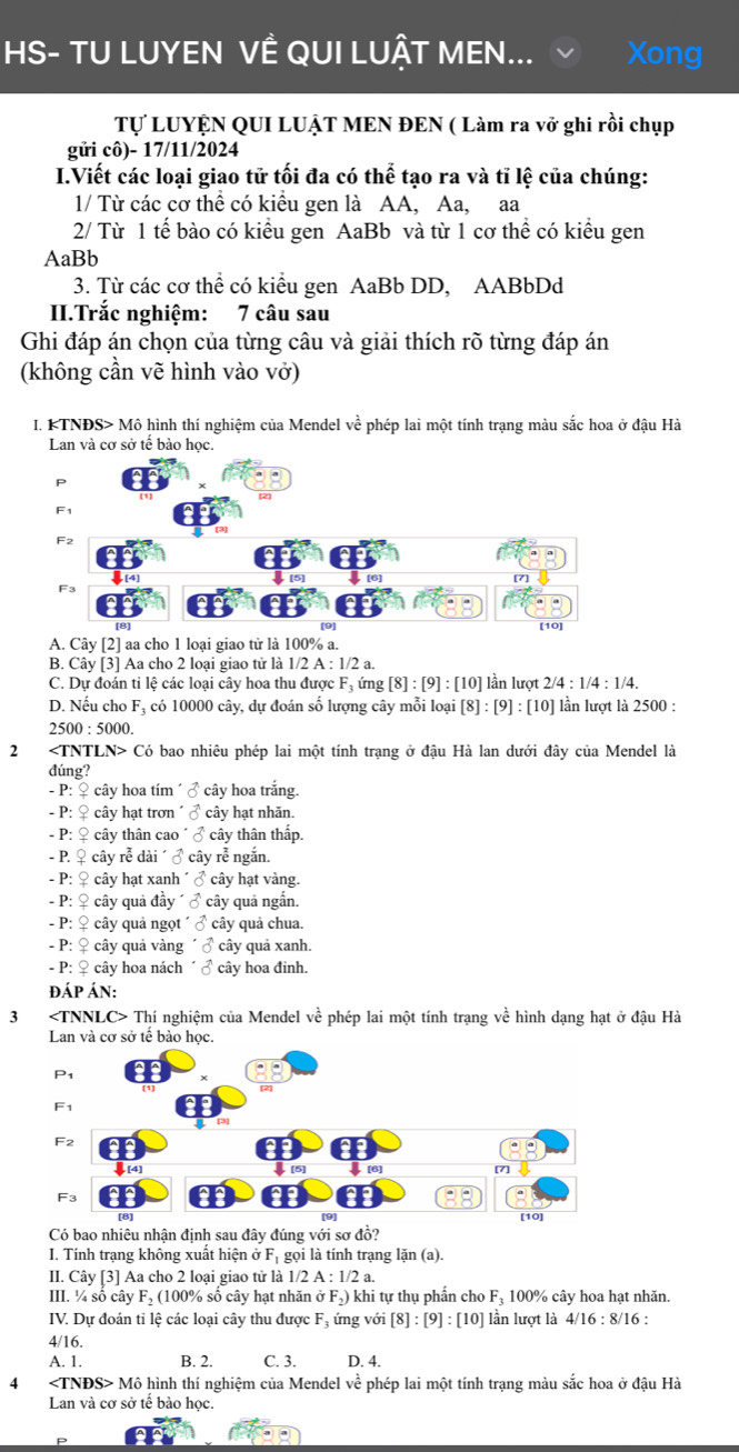 HS- TU LUYEN VÊ QUI LUẬT MEN... Xong
Tự LUYỆN QUI LUẠT MEN ĐEN ( Làm ra vở ghi rồi chụp
gửi cô)- 17/11/2024
I.Viết các loại giao tử tối đa có thể tạo ra và tỉ lệ của chúng:
1/ Từ các cơ thể có kiểu gen là AA, Aa, aa
2/ Từ 1 tế bào có kiểu gen AaBb và từ 1 cơ thể có kiểu gen
AaBb
3. Từ các cơ thể có kiểu gen AaBb DD, AABbDd
II.Trắc nghiệm: 7 câu sau
Ghi đáp án chọn của từng câu và giải thích rõ từng đáp án
(không cần vẽ hình vào vở)
I. KTNĐS> Mô hình thí nghiệm của Mendel về phép lai một tính trạng màu sắc hoa ở đậu Hà
Lan và cơ sở tế bảo học.
A. Cây [2] aa cho 1 loại giao tử là 100% a.
B. Cây [3] Aa cho 2 loại giao tử là 1/2 A : 1/2 a.
C. Dự đoán tỉ lệ các loại cây hoa thu được F_3 ứng [8]:[9] : [10] lần lượt 2/4:1/4:1/4.
D. Nếu cho F₃ có 10000 cây, dự đoán số lượng cây mỗi loại [8]:[9]:[10] ần lượt là 2500 :
2500 : 50 ( 0.
2 Có bao nhiêu phép lai một tính trạng ở đậu Hà lan dưới đây của Mendel là
đúng?
- P: ♀ cây hoa tím ´ ♂ cây hoa trắng.
- P: ♀ cây hạt trơn ´ ♂ cây hạt nhăn.
- P: ♀ cây thân cao ´ ♂ cây thân thấp.
- P. ♀ cây rễ dài ´ ♂ cây rễ ngắn.
- P: ♀ cây hạt xanh ´ ♂ cây hạt vàng.
- P: ♀ cây quả đầy ´ ♂ cây quả ngắn.
- P: ♀ cây quả ngọt ´ ♂ cây quả chua.
- P: ♀ cây quả vàng ´ ♂ cây quả xanh.
- P: ♀ cây hoa nách ´ ♂ cây hoa đinh.
đáp án:
3 Thí nghiệm của Mendel vhat e phép lai một tính trạng về hình dạng hạt ở đậu Hà
Lan và cơ sở tế bào học.
Có bao nhiêu nhận định sau đây đúng với sơ đồ?
I. Tính trạng không xuất hiện ở F_1 gọi là tính trạng lặn (a).
I. Cây [3] Aa cho 2 loại giao tử là 1/2A:1/2a.
III. ¼ số cây F_2 (100% số cây hạt nhãn F_2) khi tự thụ phẩn cho F_3 100% cây hoa hạt nhãn.
IV. Dự đoán tỉ lệ các loại cây thu được F_3hat u mg với [8]:[9]:[10] lần lượt là 4/16:8/16:
4/16.
A. 1. B. 2. C. 3. D. 4.
4 Mô hình thí nghiệm của Mendel về phép lai một tính trạng màu sắc hoa ở đậu Hà
Lan và cơ sở tế bào học.