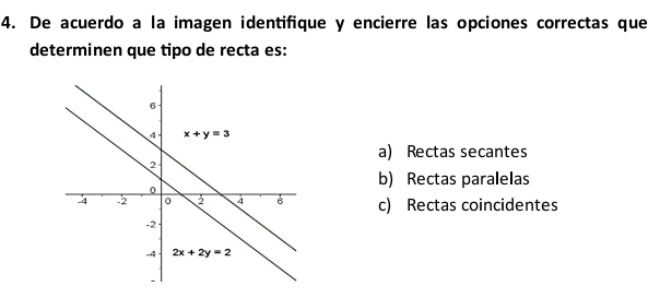 De acuerdo a la imagen identifique y encierre las opciones correctas que
determinen que tipo de recta es:
a) Rectas secantes
b) Rectas paralelas
c) Rectas coincidentes