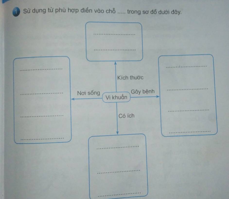 Sử dụng từ phù hợp điển vào chỗ ..... trong sơ đồ dưới đây. 
_ 
_ 
_ 
_ 
Kích thước 
Gây bệnh 
_ 
_Nơi sống Vi khuẩn 
_ 
_ 
Có ích 
_ 
_ 
_ 
_ 
_